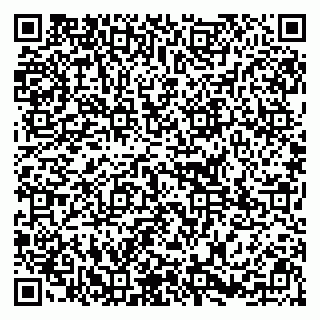 vCard 79295336221