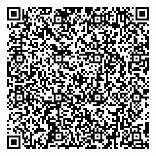 vCard 79295336225