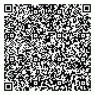 vCard 79295336230