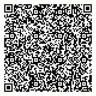 vCard 79295336233