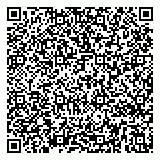 vCard 79295336234