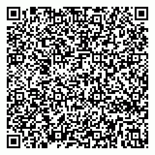 vCard 79295336238