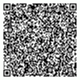 vCard 79295336240