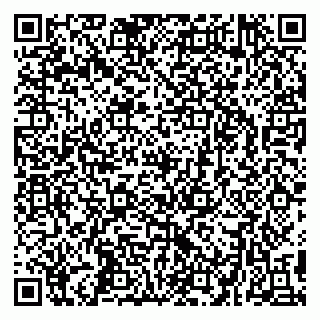 vCard 79295336253