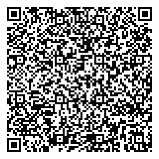 vCard 79295336270
