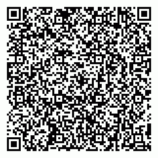 vCard 79295336273