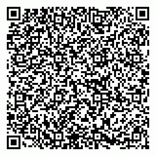 vCard 79295336274