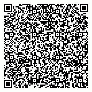 vCard 79295336278