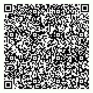 vCard 79295336284