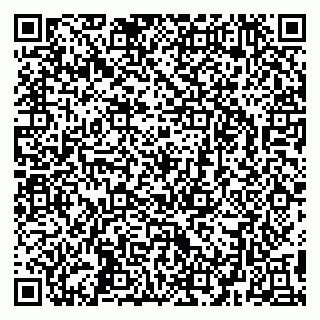 vCard 79295336285