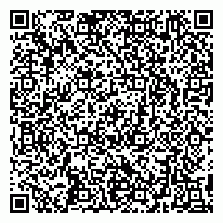 vCard 79295336286