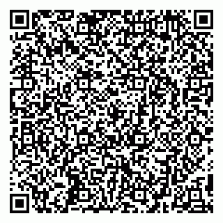 vCard 79295336289