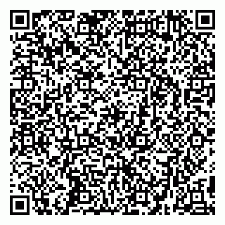 vCard 79295336291
