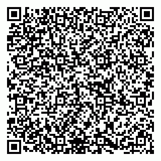 vCard 79295336293