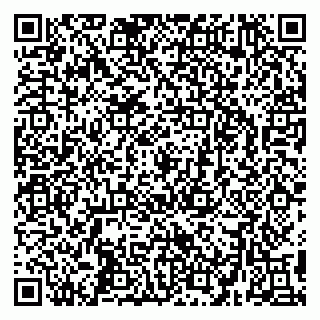 vCard 79295336297