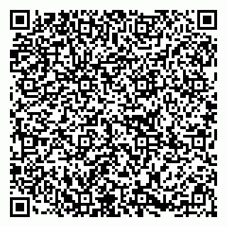 vCard 79295336301