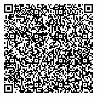 vCard 79295336303