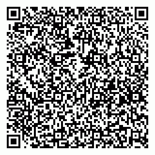 vCard 79295336310