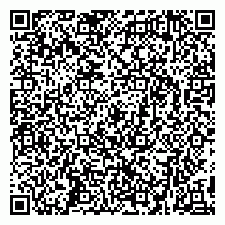vCard 79295336311