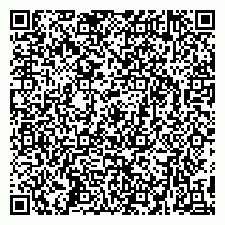 vCard 79295336313