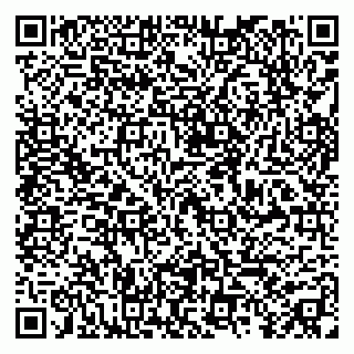 vCard 79295336320