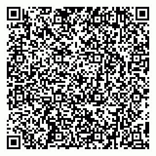 vCard 79295336321