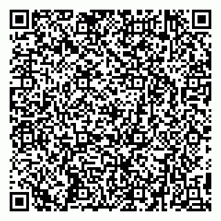 vCard 79295336323