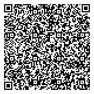vCard 79295336329
