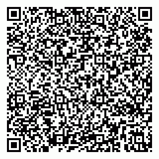 vCard 79295336371