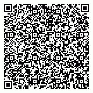 vCard 79295336376