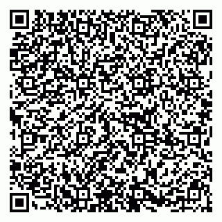 vCard 79295336378