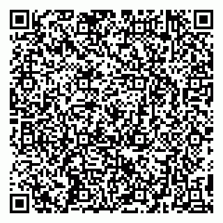vCard 79295336383