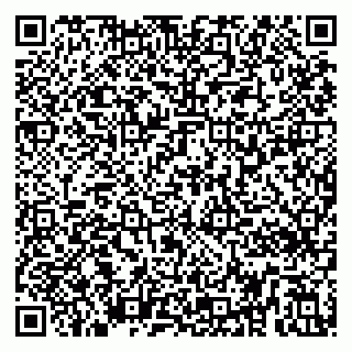 vCard 79295336384