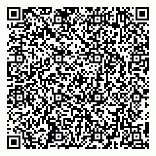 vCard 79295336387