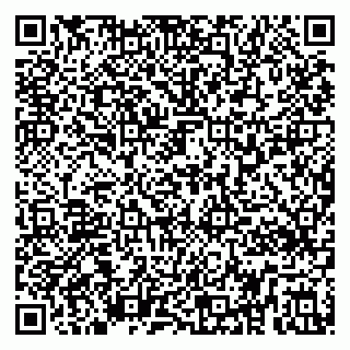 vCard 79295336389