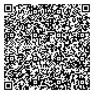 vCard 79295336393