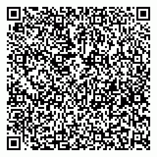 vCard 79295336399