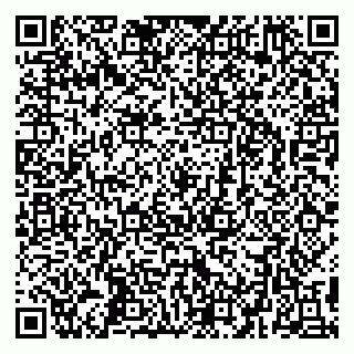 vCard 79295336402