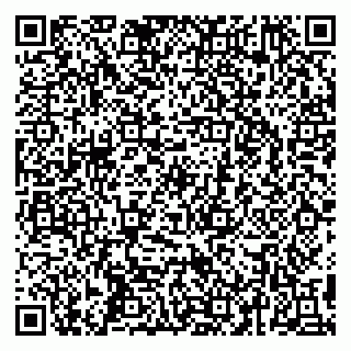 vCard 79295525222