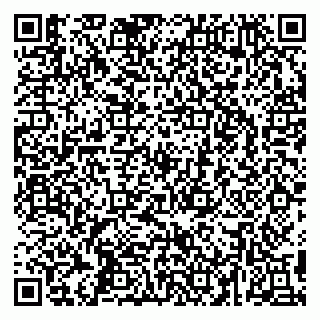 vCard 79295525234