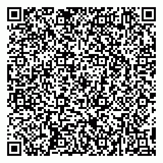 vCard 79295525236