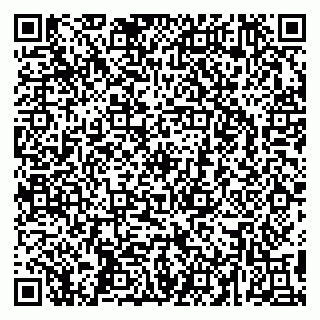vCard 79295525237