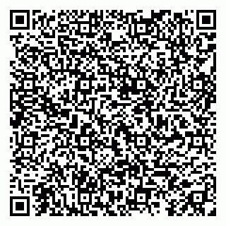 vCard 79295525239