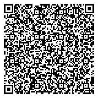 vCard 79295525248
