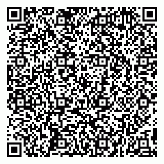 vCard 79295525259