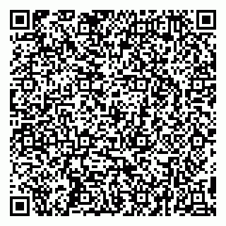 vCard 79295525260