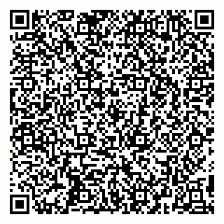 vCard 79295525285