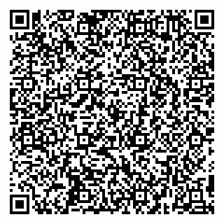 vCard 79295525290