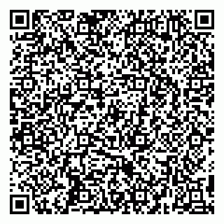 vCard 79295525294
