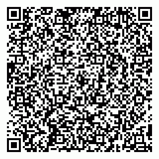 vCard 79295525299